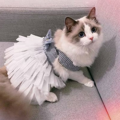 Bowknot Layered Lace Dog Cat Dress