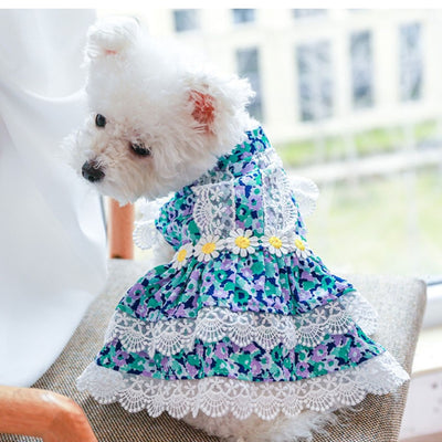 Lace Design Floral Dog Cat Dress
