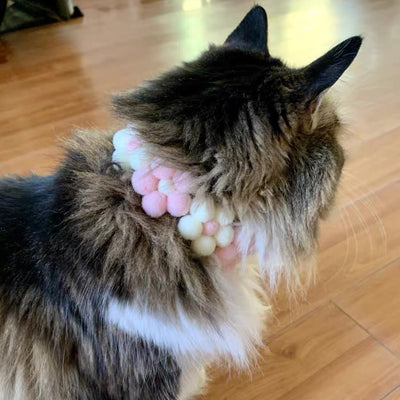 Knitted Flower Cat Dog Collar