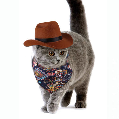 Cowboy Dog Cat Hat