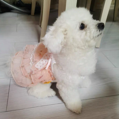 Princess Lace Layered Dog Cat Dress