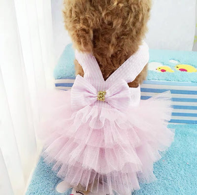 Bowknot Layered Lace Dog Cat Dress