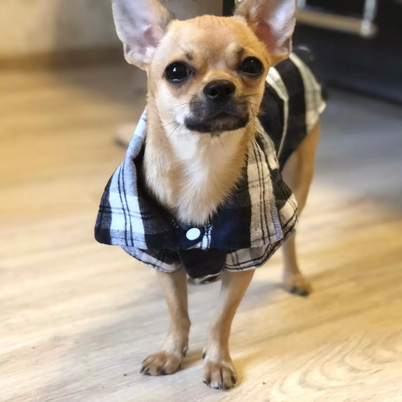 Plaid Pattern Clothes for Dogs