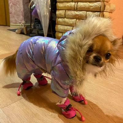 Shiny Thickened Warm Dog Jacket