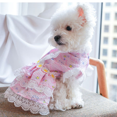 Lace Design Floral Dog Cat Dress