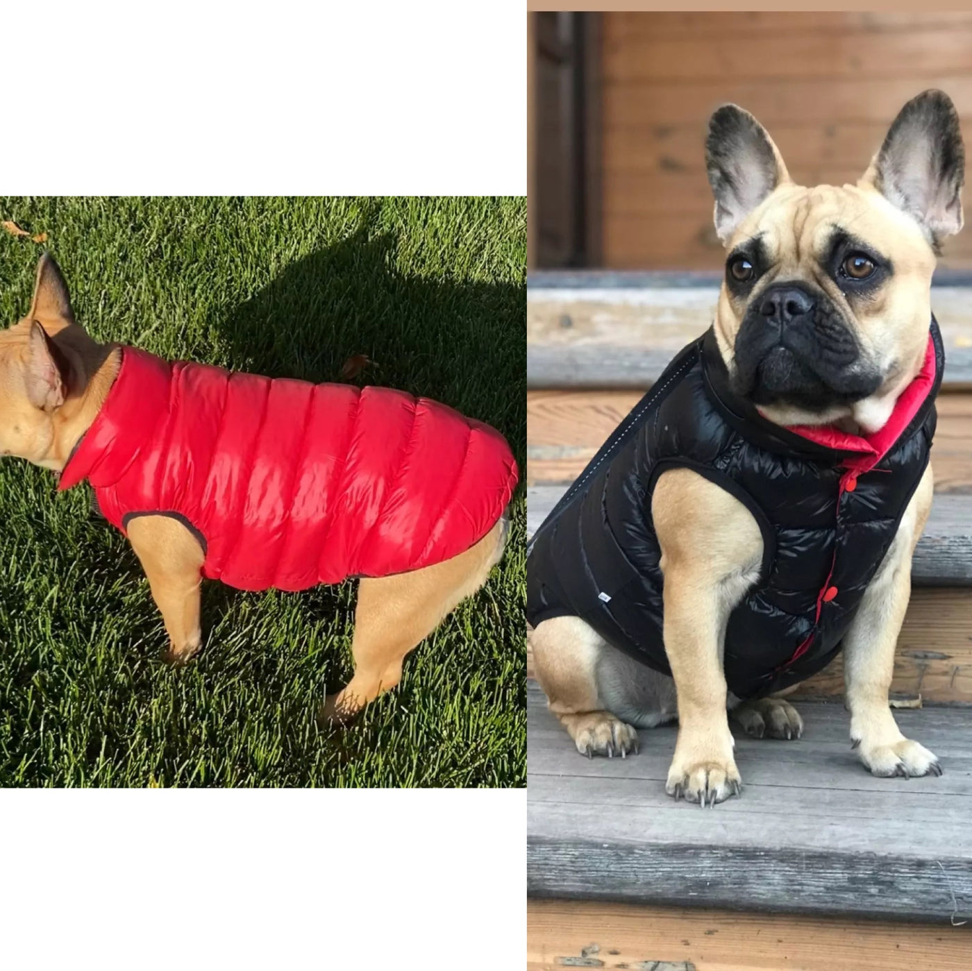 Reversible Waterproof Dog Cat Vest Jacket