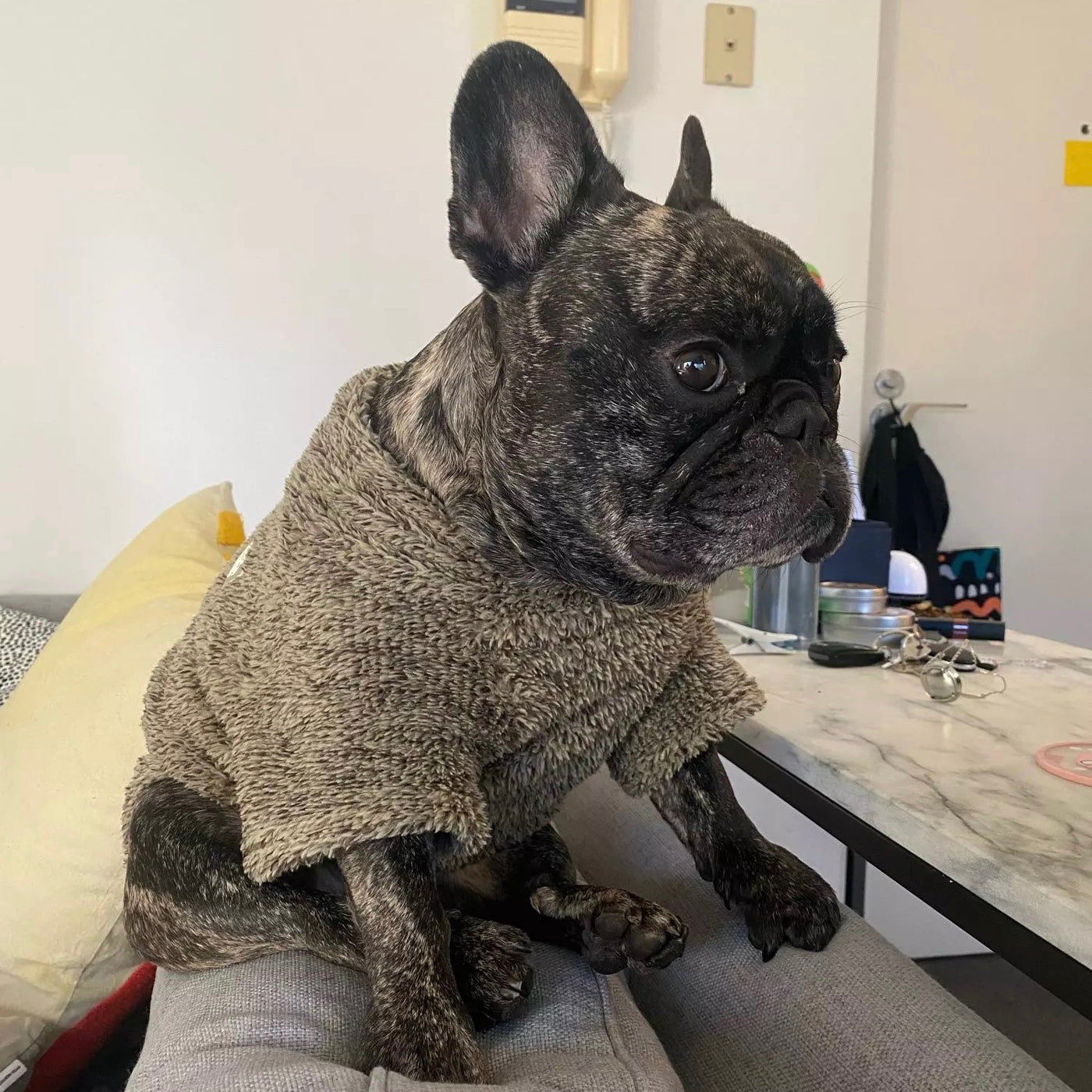 Winter Warm Dog Cat Sweater