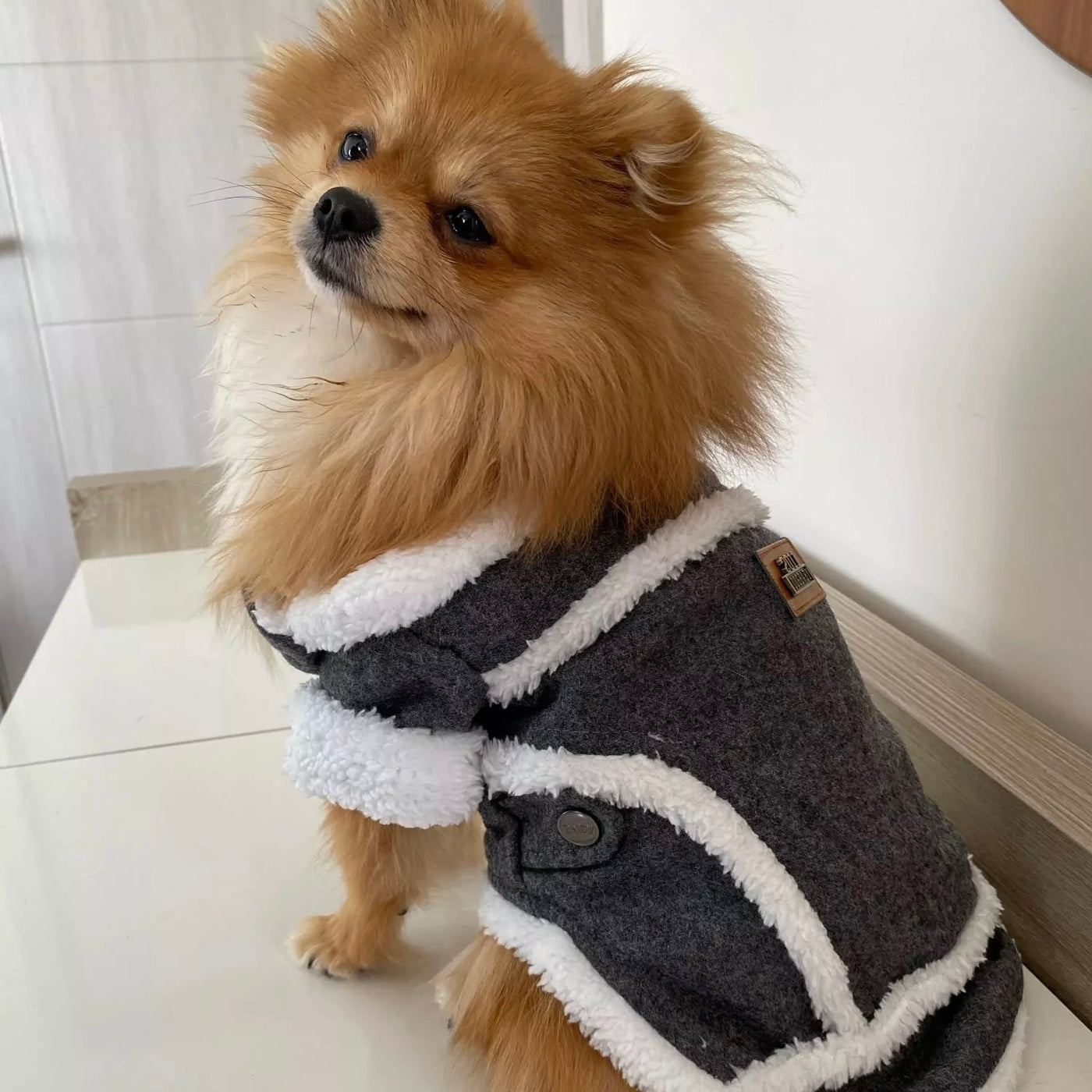 Furry Warm Dog Coat