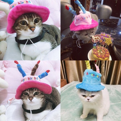 Cute Dog Cat Birthday Hat