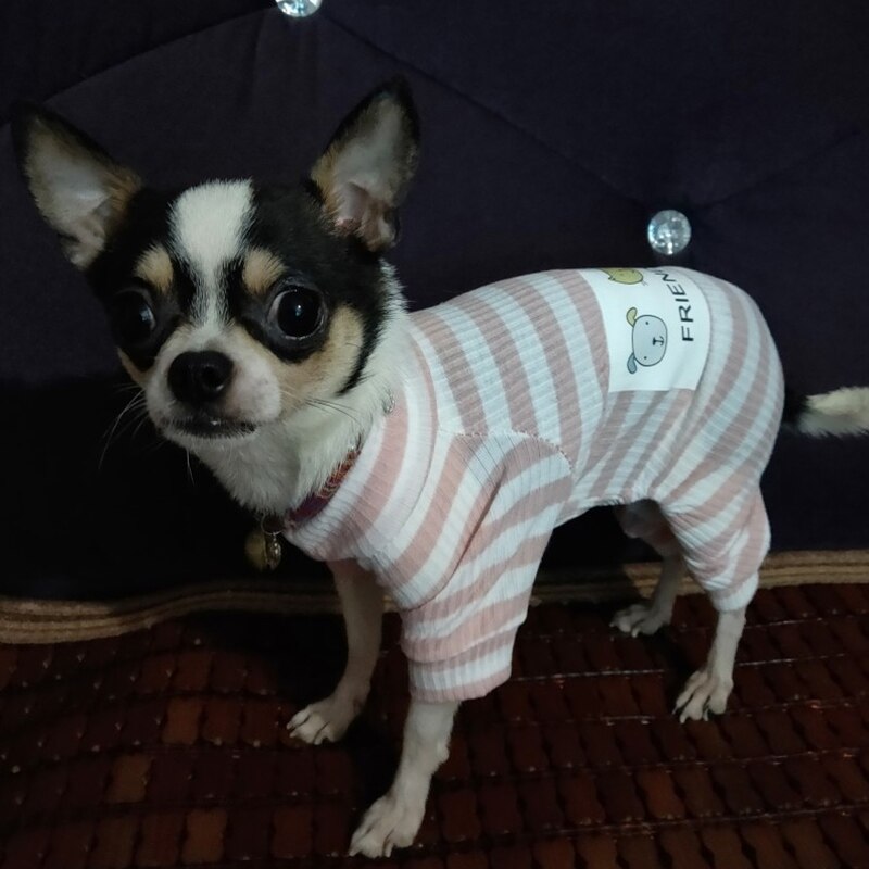 Printed Striped Cotton Dog Pajamas
