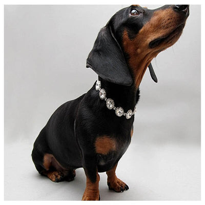 Crystal Rhinestone Dog Necklace