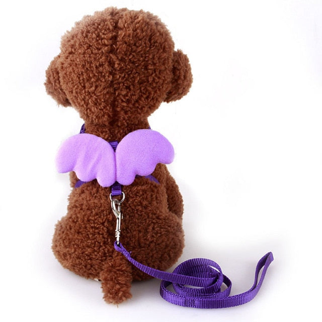 Angel Wing Dog Harness With Leash