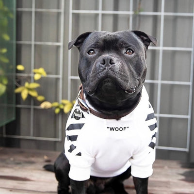 Striped Pattern Dog Hoodie