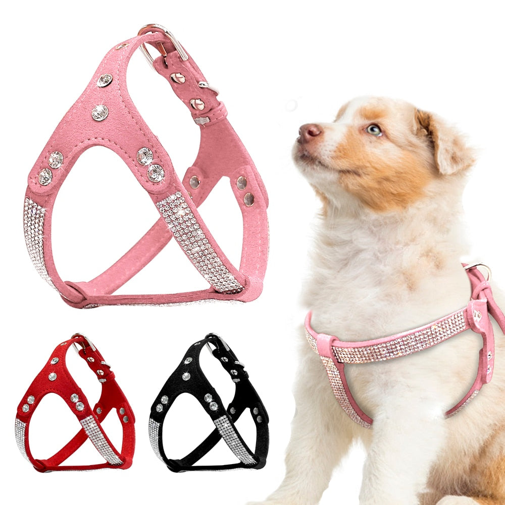 Shiny Suede Leather Dog Harness