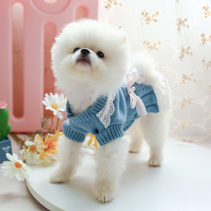 Lace Bowknot Dog Wool Dress