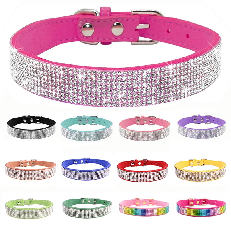 Crystal Buckled Dog Collar