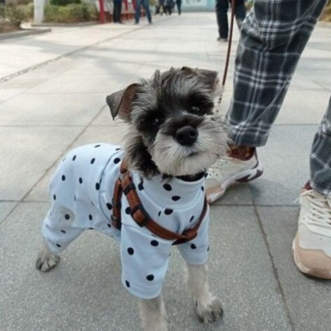 Polka Dot Dog Cat Four-legged Clothes