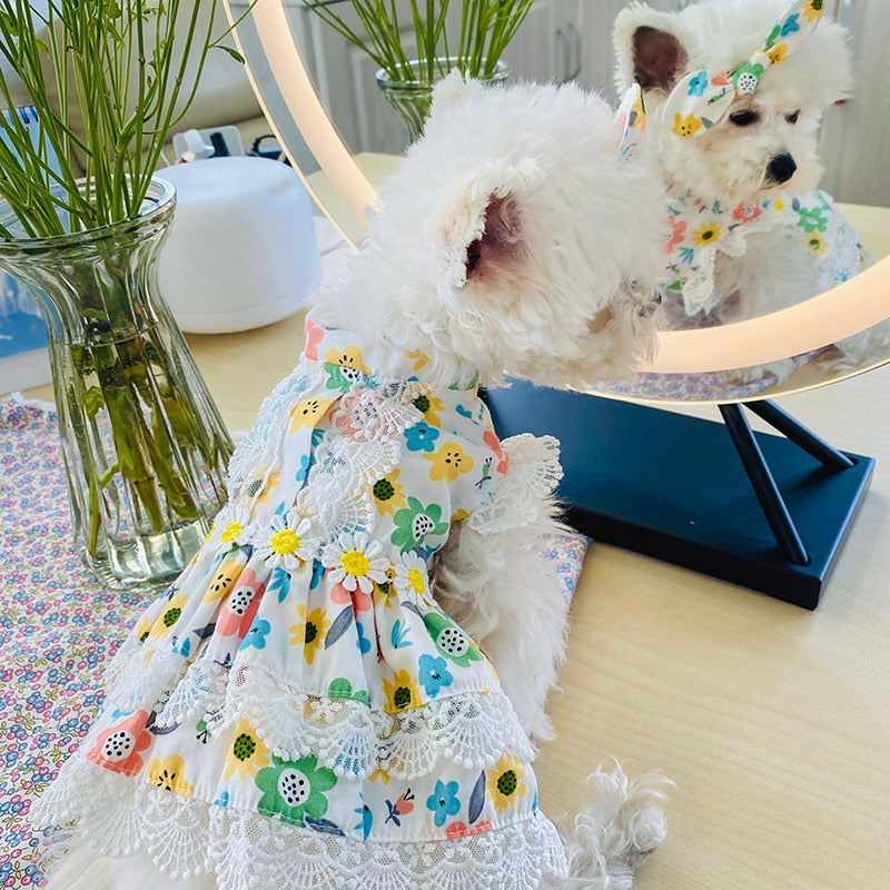 Floral Lace Design Dog Cat Dress