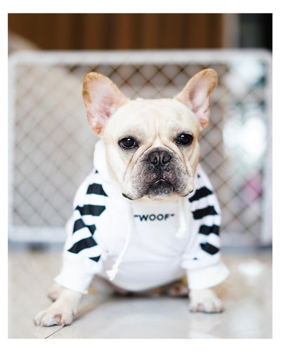 Striped Pattern Dog Hoodie