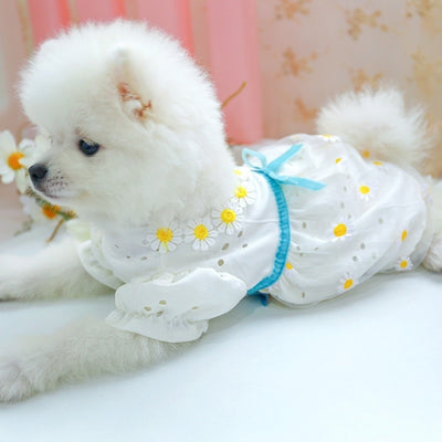 Bowknot Lace Dresses For Dog Cat