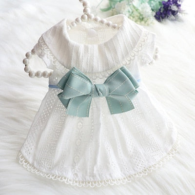 Bowknot Lace Dresses For Dog Cat