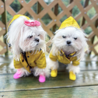 Waterproof Dog Windbreaker Jacket Raincoat