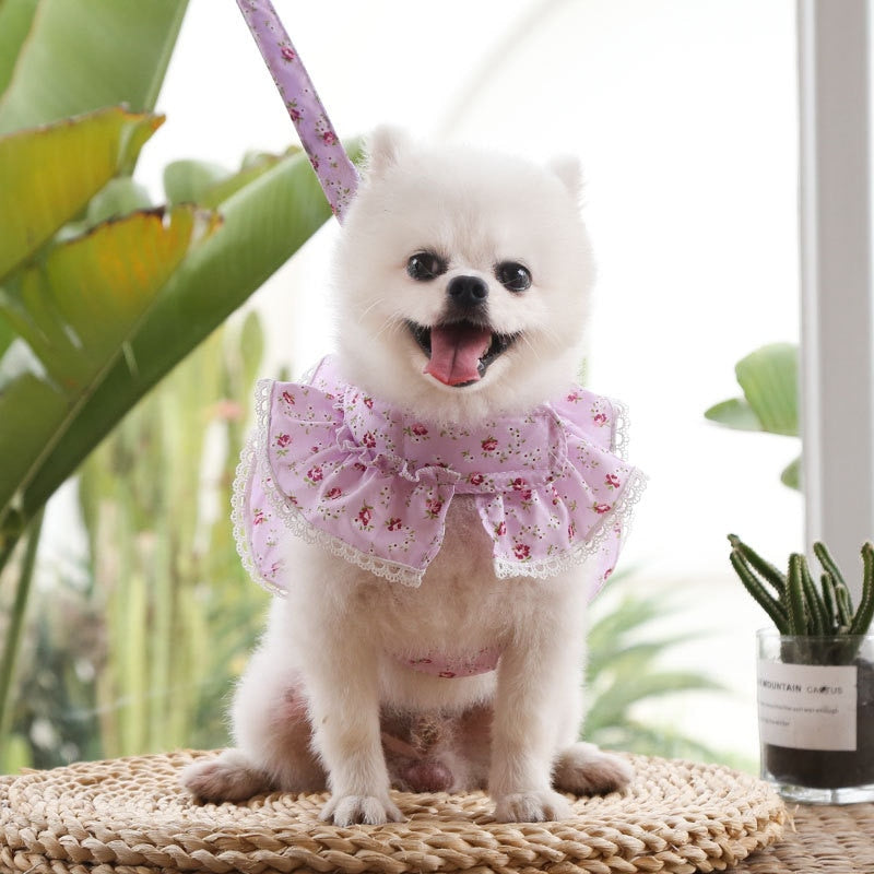 Floral Lace Dog Harness With Leash