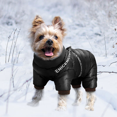 Letter Printed Winter Puppy Jacket