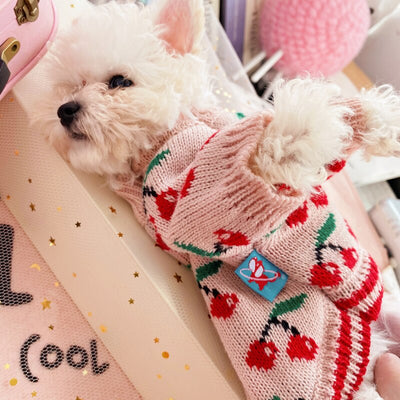 Cherry Printed Cat Dog Sweater