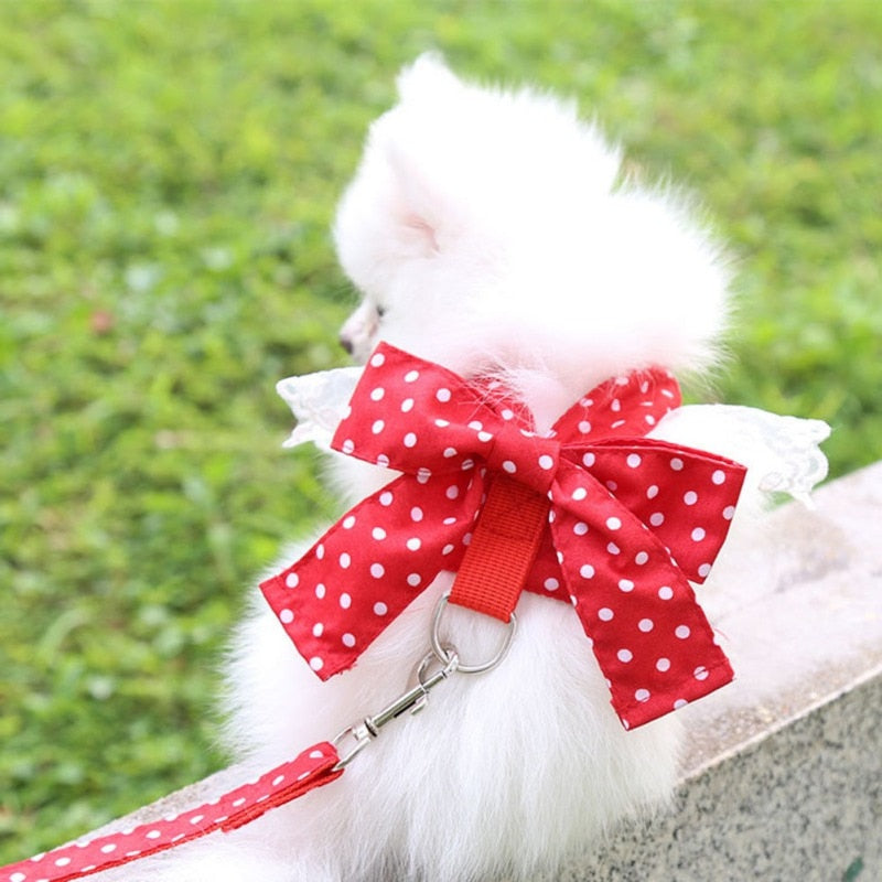 Bowknot Lace Dog Harness With Leash