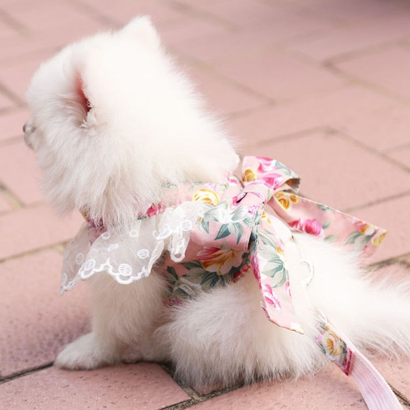 Bowknot Lace Dog Harness With Leash