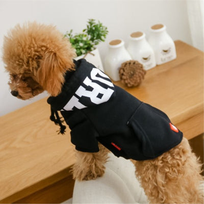 Letter Printed Dog Hoodie