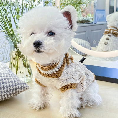 Sweet Bowknot Knitted Cat Dog Sweater