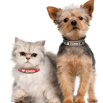 Personalized Rhinestone Dog Cat Collar