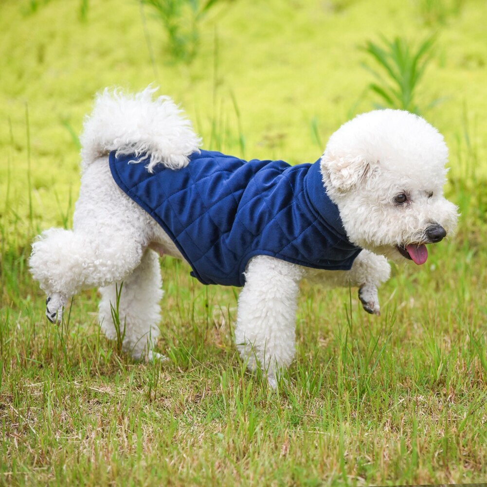 Warm Dog Cat Reversible Jacket