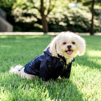 Waterproof Dog Windbreaker Jacket Raincoat