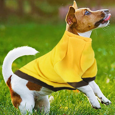 Multi-Color Warm Dog Hoodie