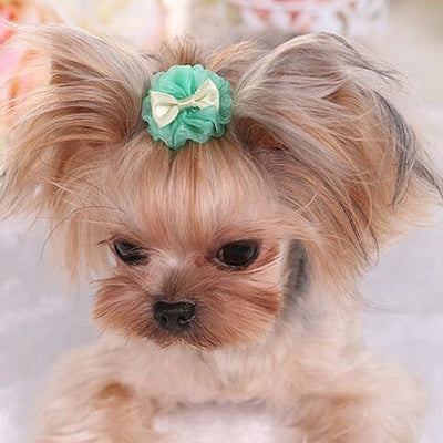 Cute Bowknot Cat Dog Hairpin