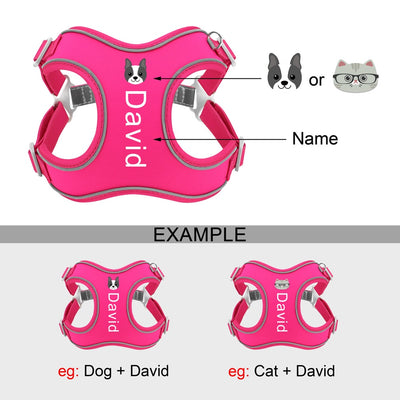 Name Custom Dog Harness Leash Set