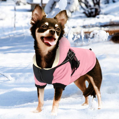 Warm Dog Jacket With Harness