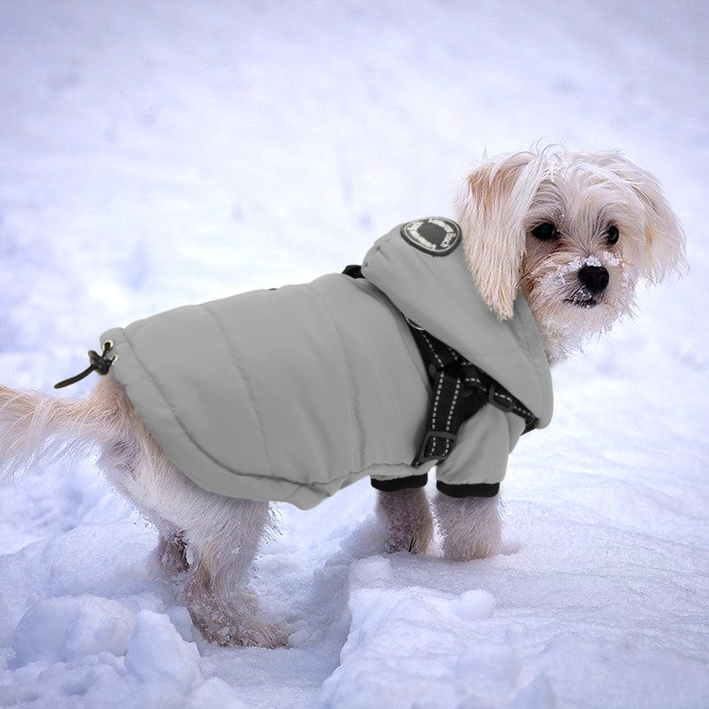 Warm Dog Jacket With Harness