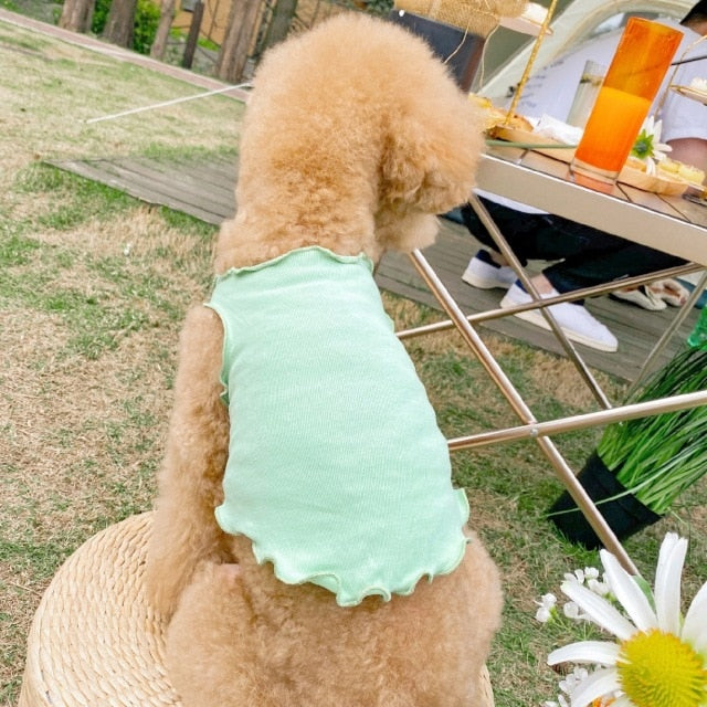 Thin Breathable Dog Cat Vest