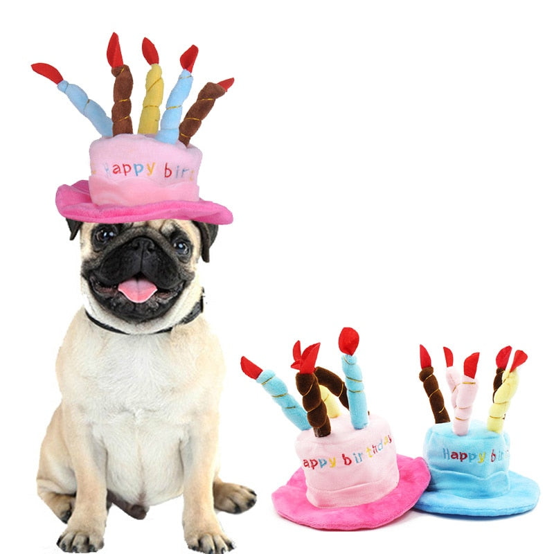 Cute Dog Cat Birthday Hat